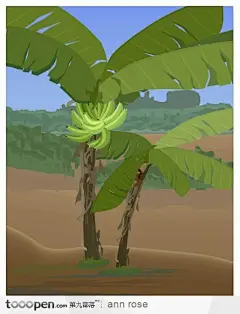 香蕉树土地风景插画