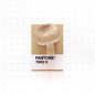 Pantone 7502 color match. 
Buna-Shimeji mushroom.
