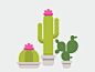 Cacti