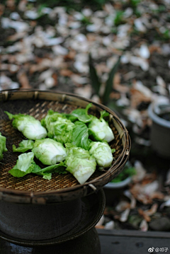 H小幸运采集到蔬菜图片