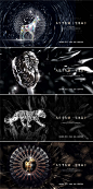 【源文件下载】 海报 广告展板 房地产 调性 质感 系列 狮子 豹子设计作品 设计图集