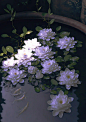 (803) Pinterest