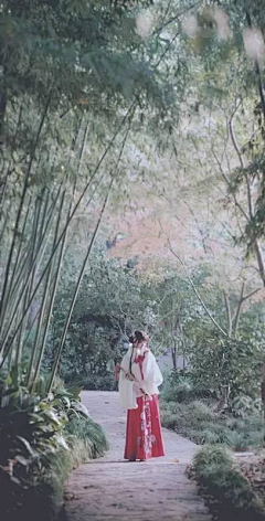 盗心狐采集到汉服