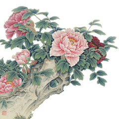 女子非鱼言采集到花