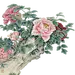 采集图片