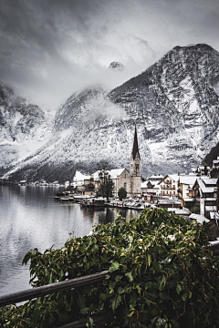 翠玉竹林采集到雪景