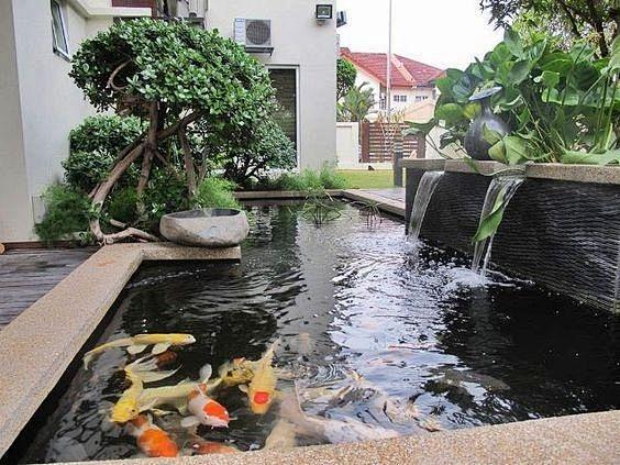 庭院鱼池设计的搜索结果_360图片