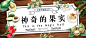 神奇果banner