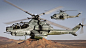每个陆战队轻型攻击直升机中队（HMLA）混合装备15架AH-1Z“毒蛇”和12架UH-1Y“毒液”
