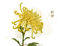 散去采集到花宴-