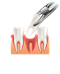 牙齿png (544)