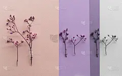 野生的小紫罗兰或紫色花在粉白色灰蜡笔纸卡为春天的自然背景