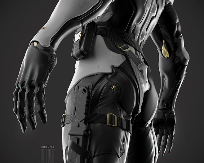 A Very Gray Fox : Yu...