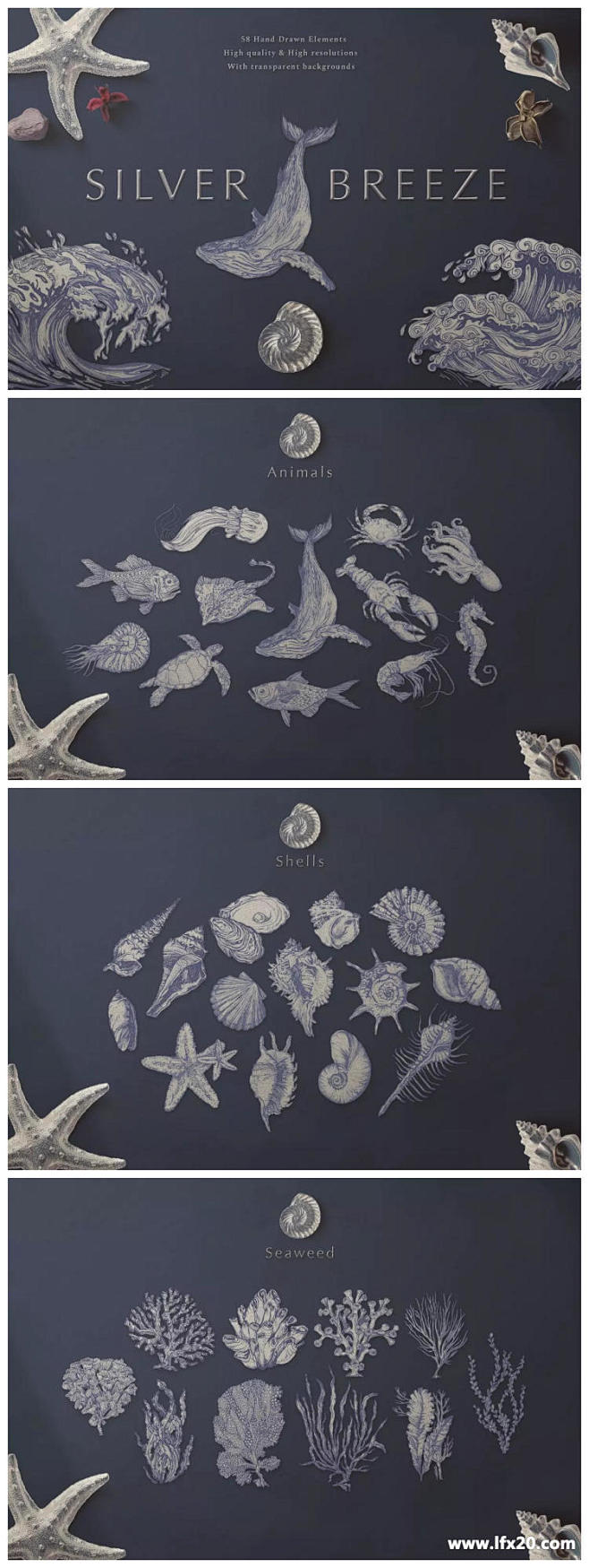 源文件 - 银色海洋生物手绘元素插画合集...