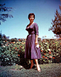 margyfrake:

Elizabeth Taylor
