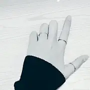 大贞-YZ