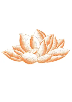 荷花  - 源文件下载【酷图网】荷花,矢量荷花,植物,点荷花,AI,花蕊,莲蓬