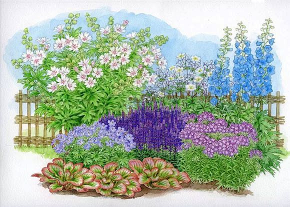  【花境手绘作品欣赏】—— 花境的主要植...