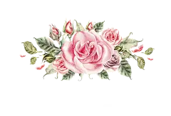 手绘花 蝴蝶 叶子 花环 钻石 花瓣 png素材