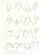人体结构原理与绘画教学_238