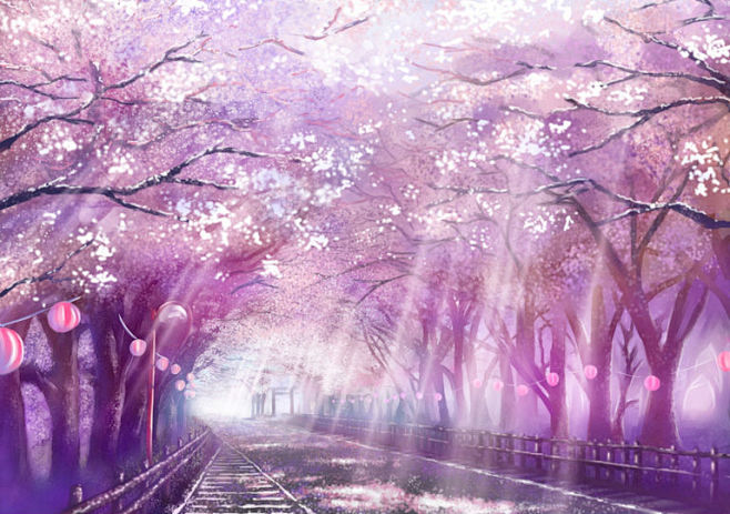 点缀邂逅与离别的花。樱花特辑 : 像雪花...