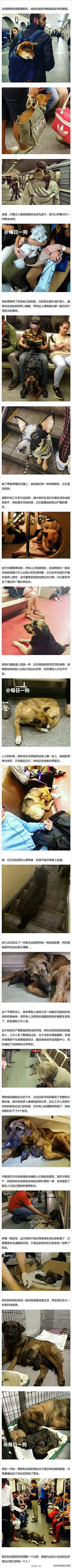 【今日囧图】歪果仁对姚明是爱得深沉，表情包神还原！ - AcFun弹幕视频网 - 认真你就输啦 (・ω・)ノ- ( ゜- ゜)つロ