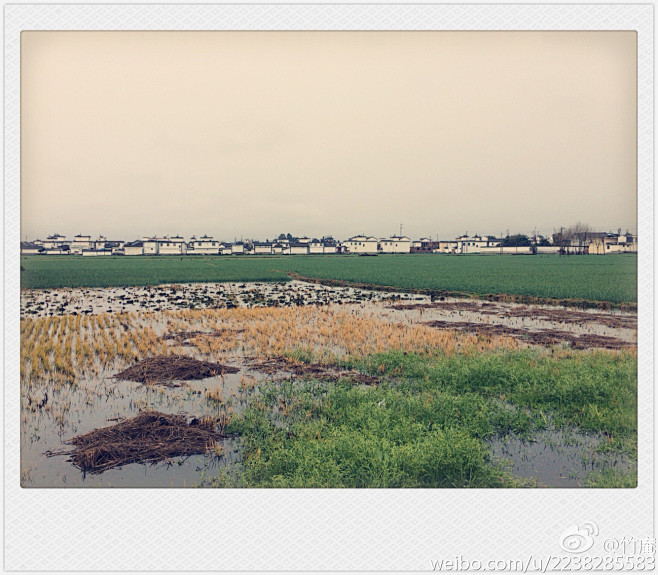 摄影/风景
