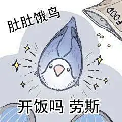 表情包｜哇！色禽鸟表情包大放送#太鸟不起了_腾讯新闻