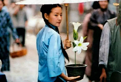 烟雨兰花采集到旗袍女子