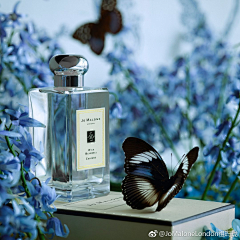 話不投機果粒多采集到Jo Malone
