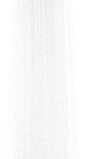 _DSC8537