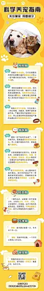 日常生活宠物知识科普文章长图
