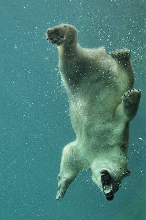 underwater