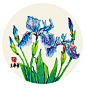 十幅油画棒绘制的花卉插画 鸢尾花