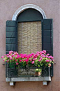 Fun window boxes | Windows | Pinterest