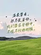 情感语录分享实景大字排版小红书封面