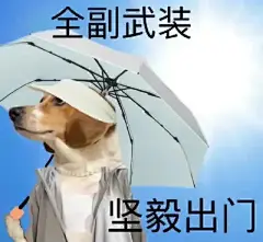 搞笑表情包 - 高清图片，堆糖，美图壁纸兴趣社区