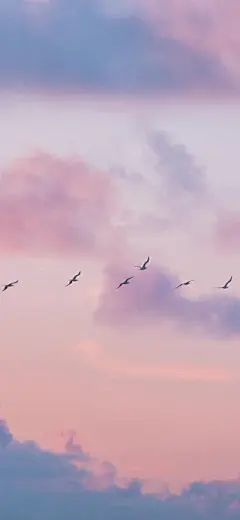 风景壁纸 - 高清图片，堆糖，美图壁纸兴趣社区