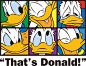 唐老鸭 | Donald
