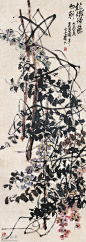 吴昌硕