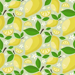 柠檬叶的搜索结果_360图片