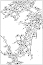 白描《梅兰竹菊》