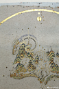 采集