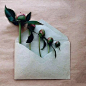 【乌克兰艺术家Anna Remarchuk的Envelope Series摄影作品】—— 花与信封的相遇，将生活的种种美好定格。