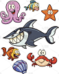 海洋生物
