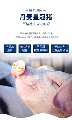 等大陆采集到罐头食品