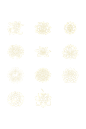 花01