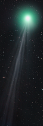 C/2014 Q2 彗星。图/Michael DeMita