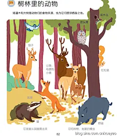 低幼启蒙百科《咿咿呀呀幼儿小百科》电子样章读后感
