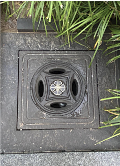细节雨水收集口铺装收边树池篦子
